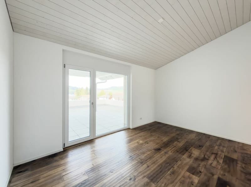 Dachwohnung mit grosser Terrasse und grandioser Weitsicht (10)