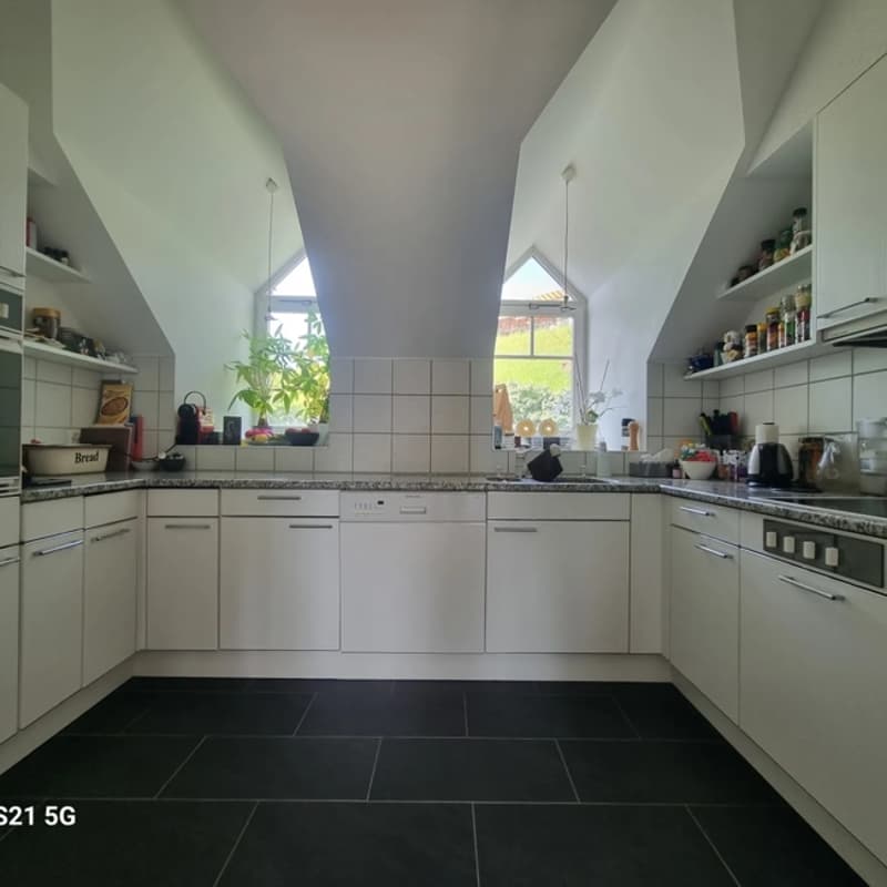 Traumwohnung, ruhig mit Seesicht und Garten (8)