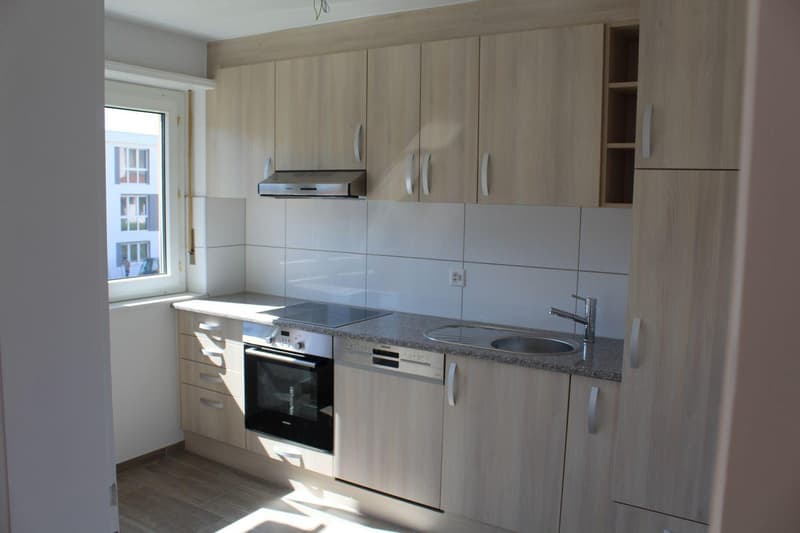 Premier loyer net gratuit! Appartement 2 pièces, dans un cartier calme à Courgenay (1)