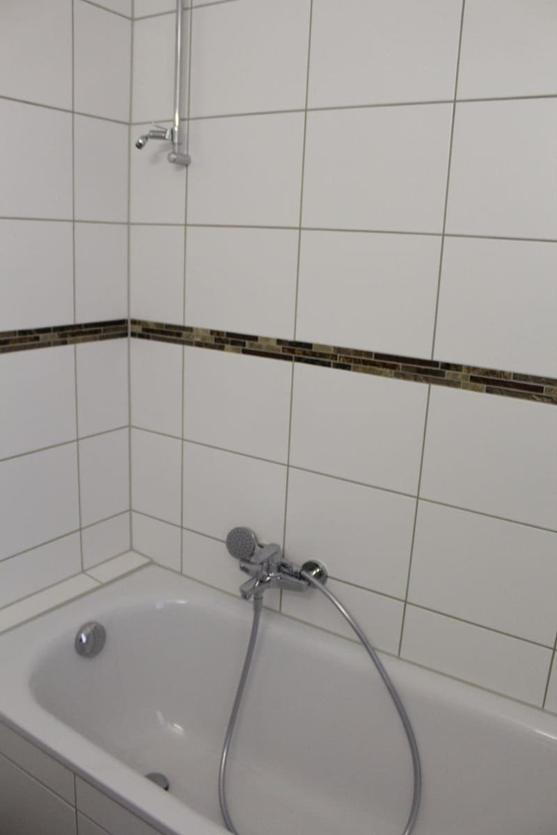 Appartement 3 pièces fraîchement repeint à Courgenay! (5)