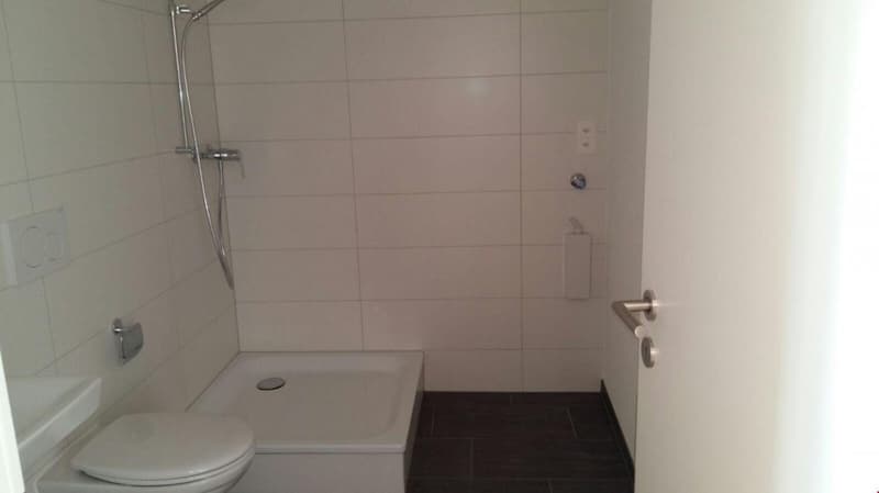 Studio entièrement rénové et meublé (2)
