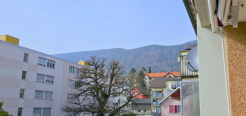 Charming 3-room apartment in central Grenchen (2)