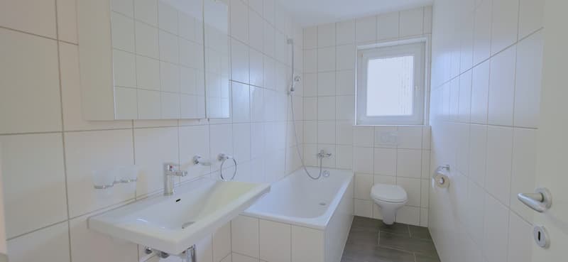 Charming 3-room apartment in central Grenchen (12)