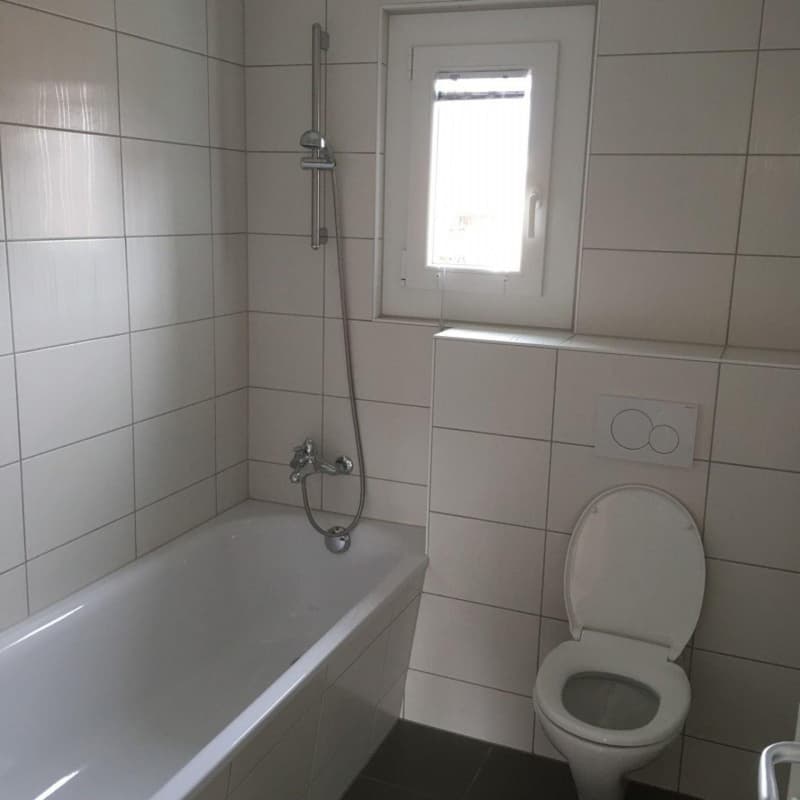 Charmante 4-Zimmer-Wohnung in ruhiger Lage in Zuchwil (10)