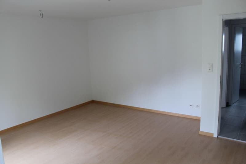 Charmante 4-Zimmer-Wohnung in ruhiger Lage in Zuchwil (7)
