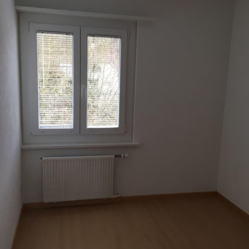 Charmante 4-Zimmer-Wohnung in ruhiger Lage in Zuchwil (5)