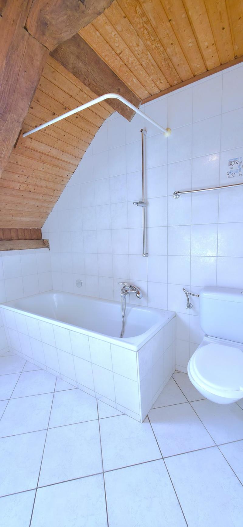 Appartement spacieux au coeur de Courchapoix (11)