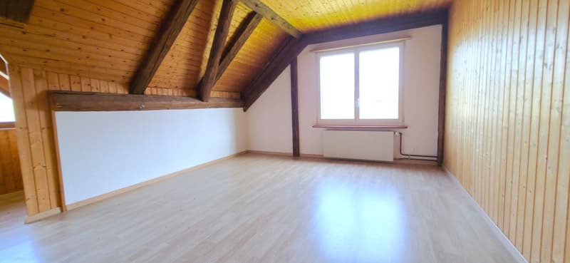 Appartement spacieux au coeur de Courchapoix (6)