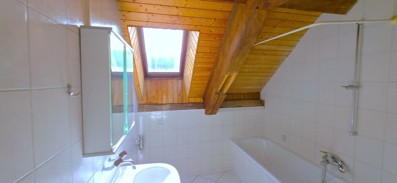 Appartement spacieux au coeur de Courchapoix (9)