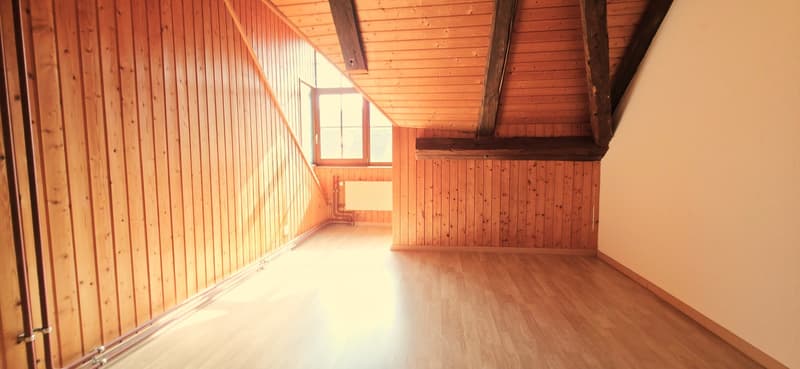Appartement spacieux au coeur de Courchapoix (7)