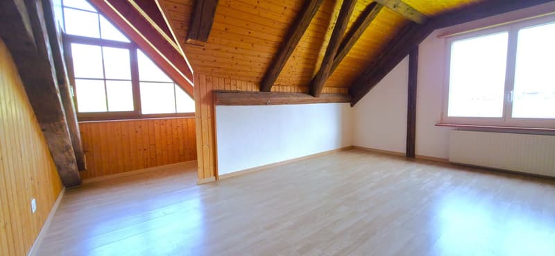 Appartement spacieux au coeur de Courchapoix (8)