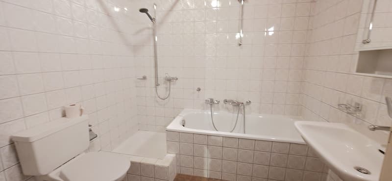 Appartement spacieux au coeur de Courchapoix (7)
