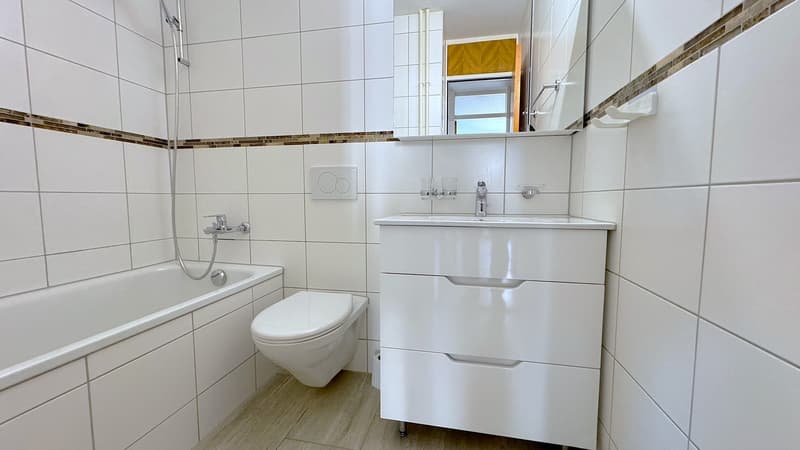 Après rénovation complète 3.5 pièces à louer OFFRE SPECIALE : 1 loyer net offert! (7)