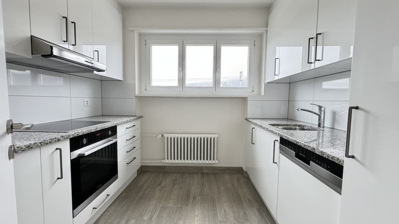 Gemuetliche 4.5 Zimmerwohnung in Rothrist (1)