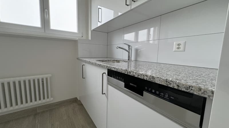 Gemuetliche 4.5 Zimmerwohnung in Rothrist (2)