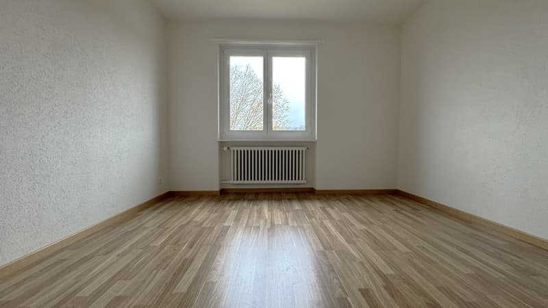 Gemuetliche 4.5 Zimmerwohnung in Rothrist (6)