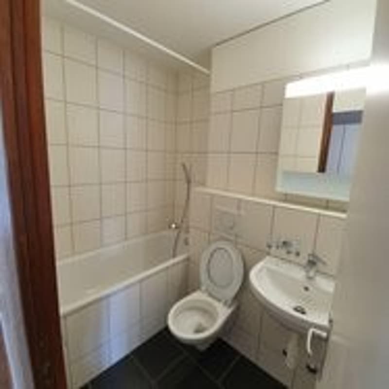 Charmante 3.5-Zimmer-Wohnung am Uferweg in Burgdorf (3)