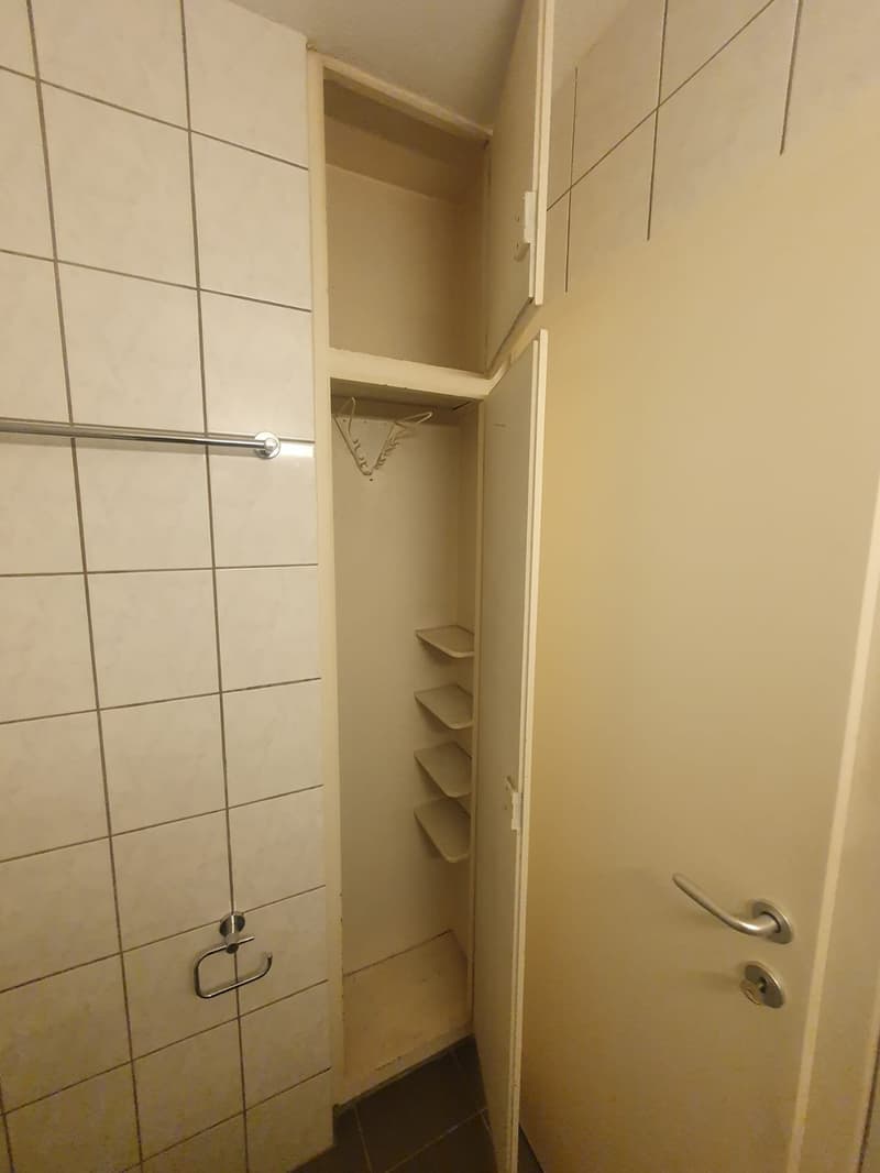 Gemütliches 1-Zimmer-Apartment an der Elsässerstrasse in Basel (5)