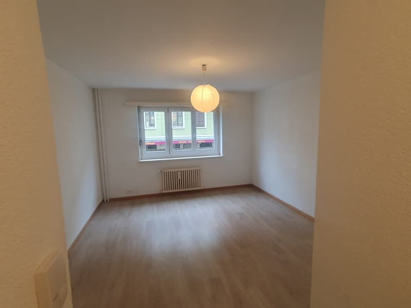 Gemütliches 1-Zimmer-Apartment an der Elsässerstrasse in Basel (3)