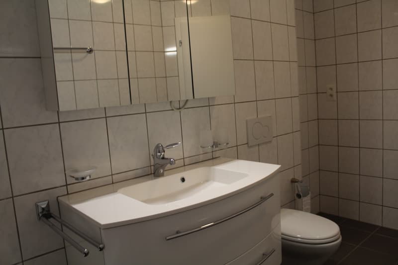 Helle 3-Zimmer-Wohnung in Oberglatt ab sofort verfügbar (7)