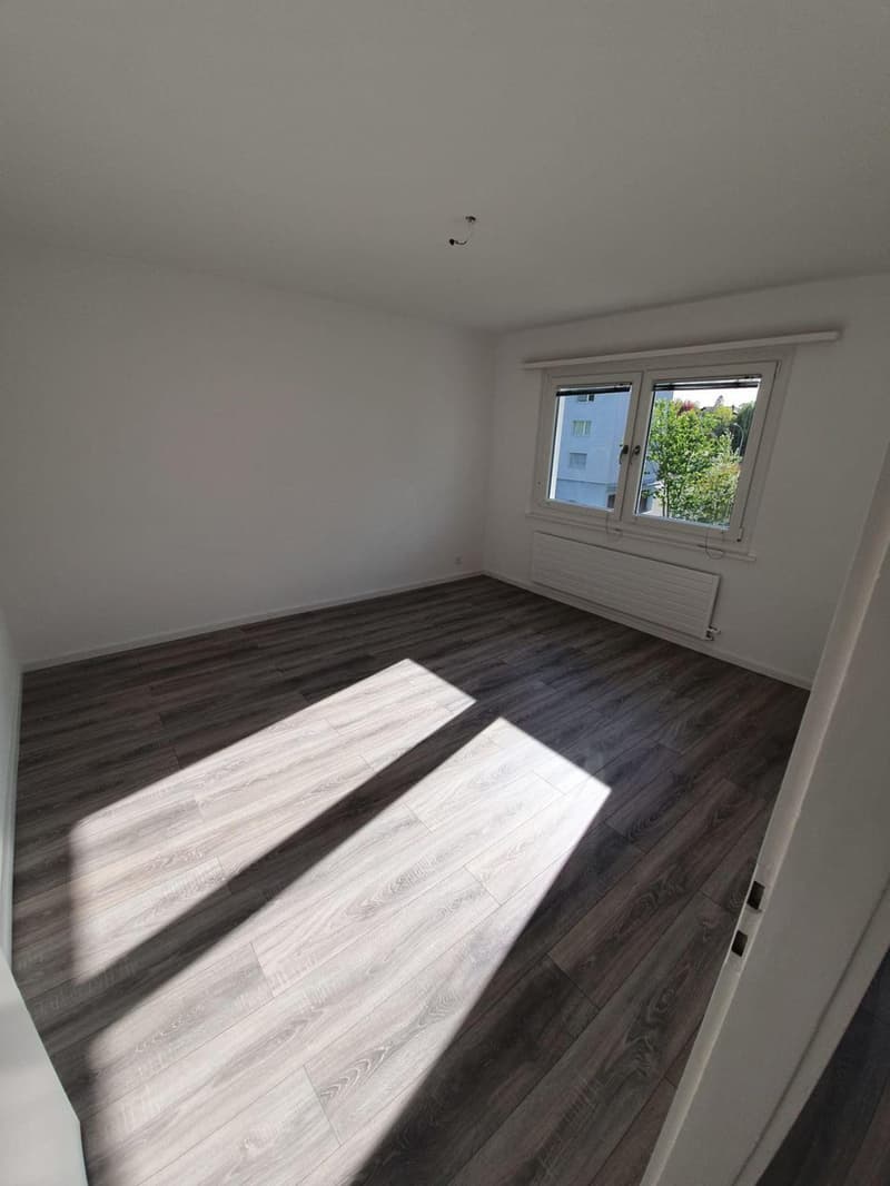 Charmant appartement de 2 pièces à Valbirse (5)