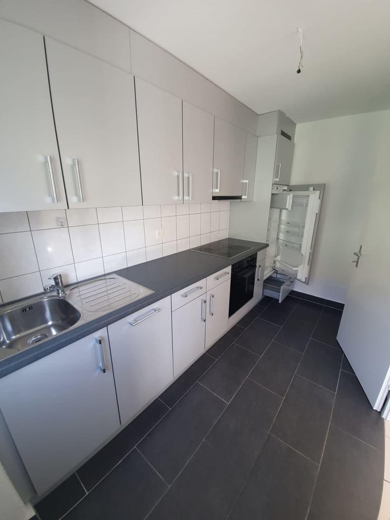 Charmant appartement de 2 pièces avec balcon à Valbirse (3)