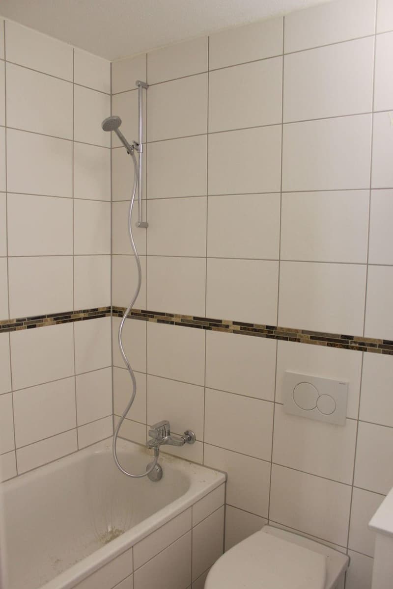 Appartement lumineux de 3 pièces à Porrentruy (5)