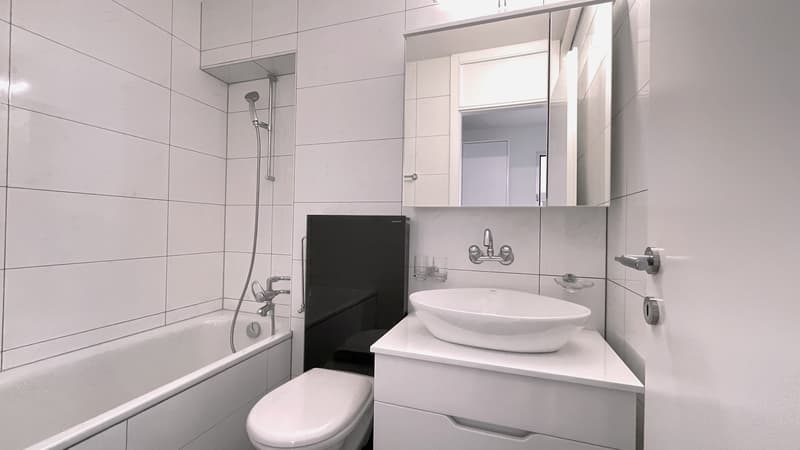 Helle neu sanierte 4-Zimmer-Wohnung mit Aussicht im 8. Stock (10)