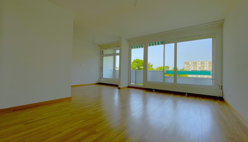 Helle neu sanierte 4-Zimmer-Wohnung mit Aussicht im 8. Stock (5)