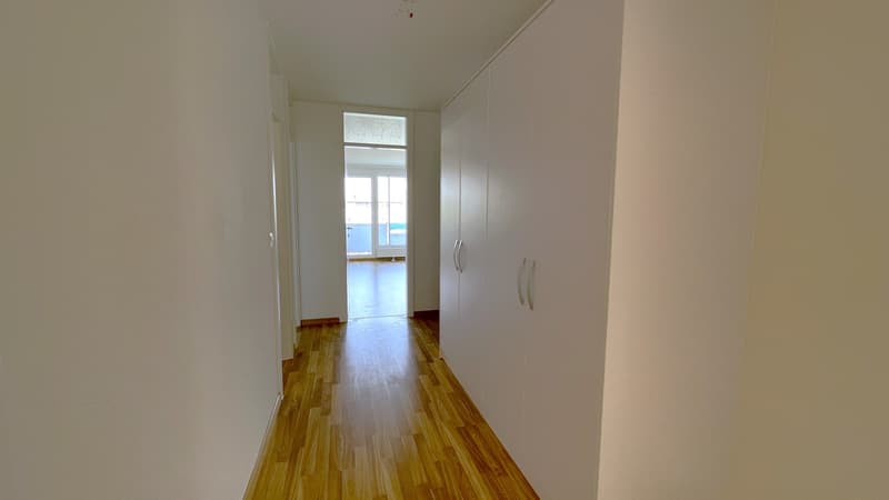 Helle neu sanierte 4-Zimmer-Wohnung mit Aussicht im 8. Stock (6)