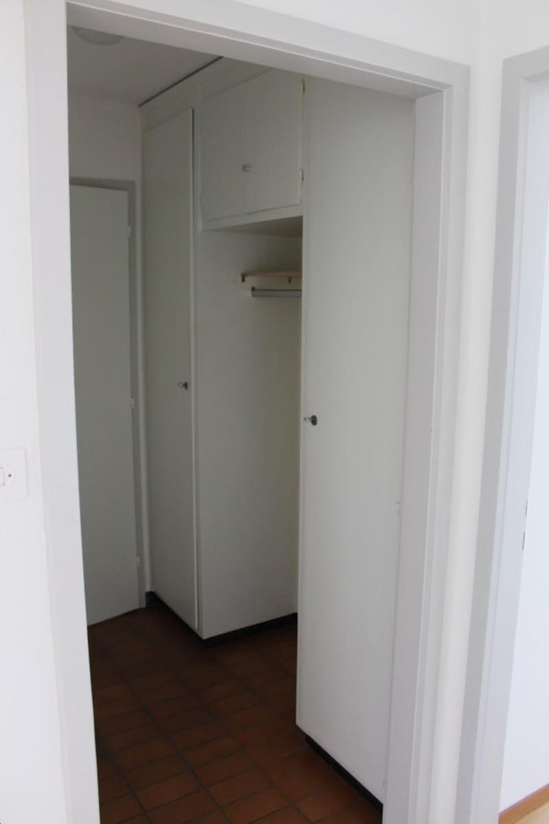 Charmant appartement de 4 pièces à Courgenay (5)