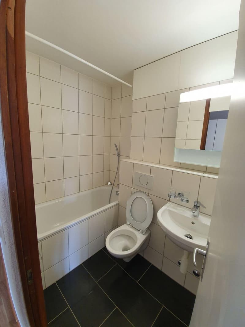 Helle 3-Zimmer-Wohnung mit Balkon im 6. OG in Burgdorf (6)