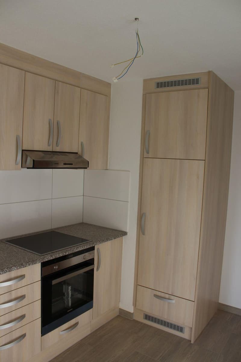 Appartement lumineux de 2 pièces à Porrentruy (1)