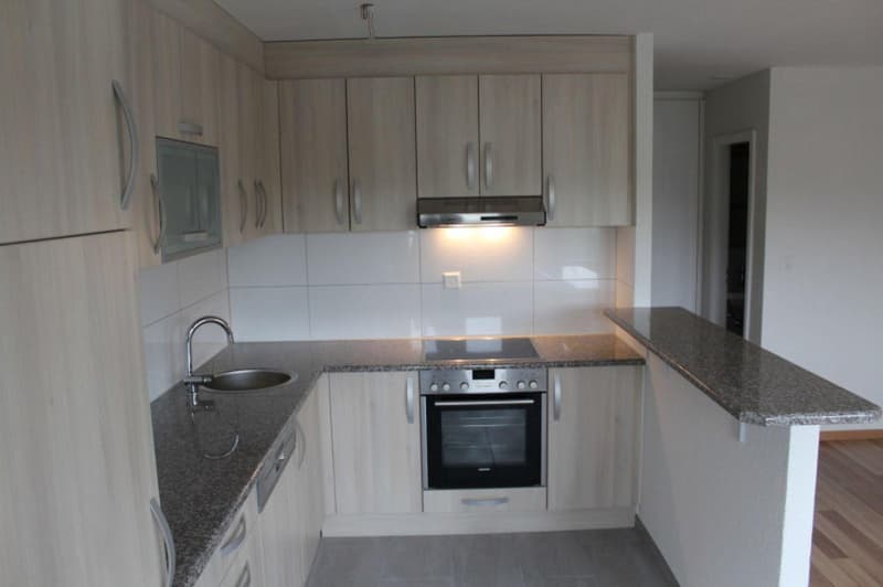 Gemütliche 2-Zimmer-Wohnung mit Balkon in Rudolfstetten-Friedlisberg (1)