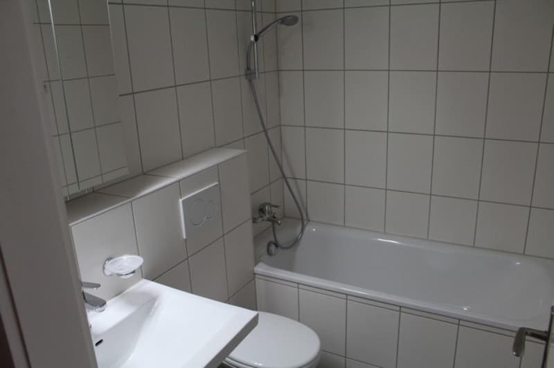 Gemütliche 2-Zimmer-Wohnung mit Balkon in Rudolfstetten-Friedlisberg (6)