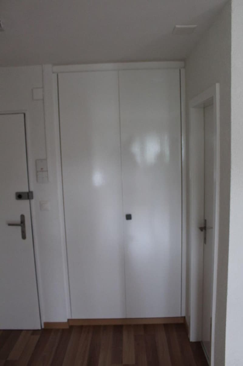 Gemütliche 2-Zimmer-Wohnung mit Balkon in Rudolfstetten-Friedlisberg (8)