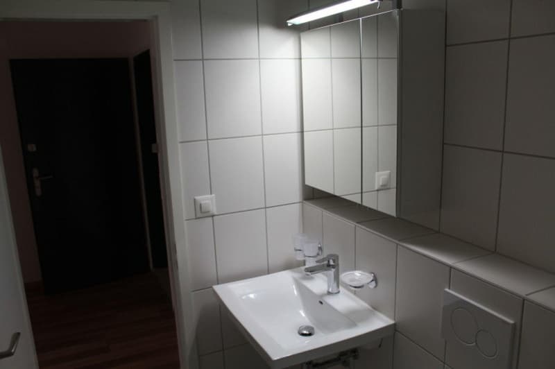 Gemütliche 2-Zimmer-Wohnung mit Balkon in Rudolfstetten-Friedlisberg (5)