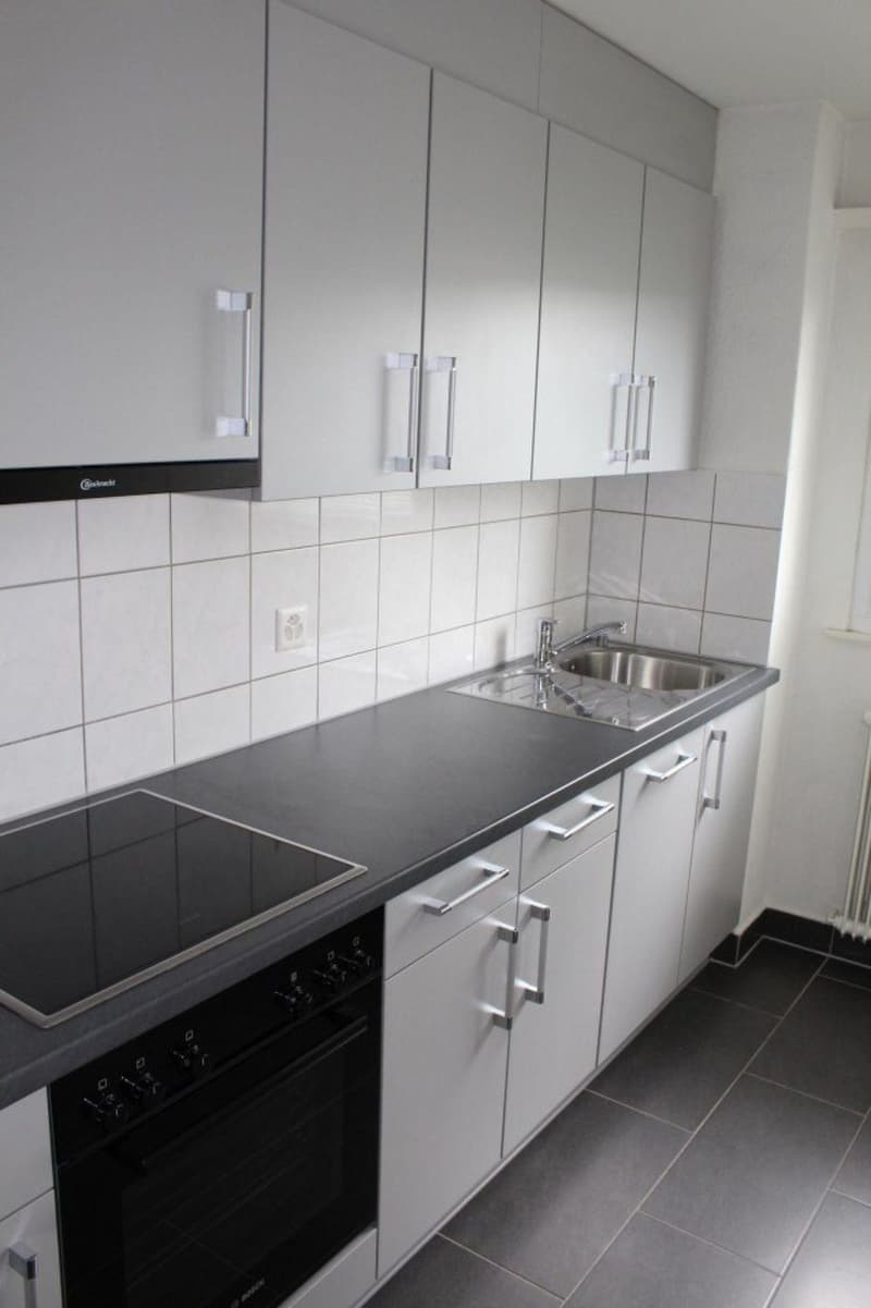 Appartement de 2 pièces à louer à Valbirse (3)