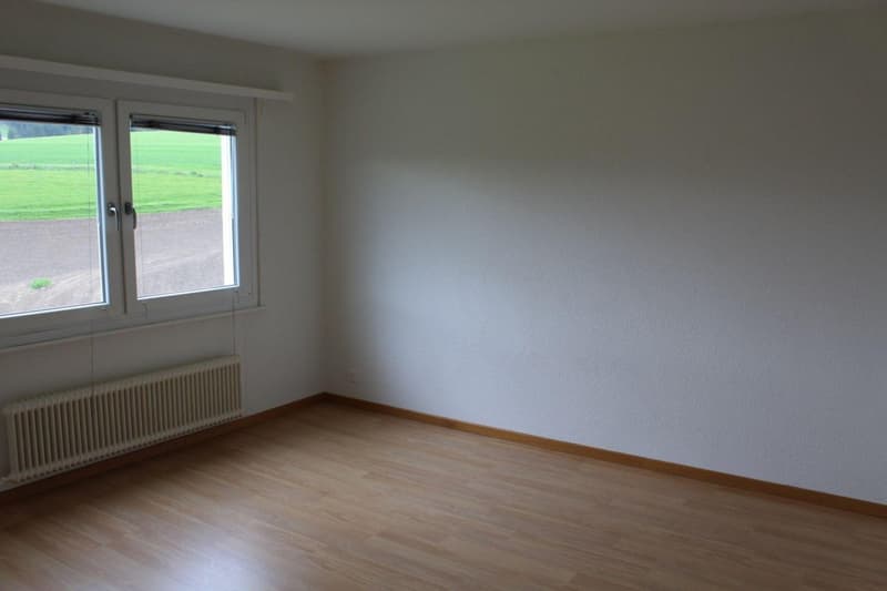 Appartement de 2 pièces à louer à Valbirse (6)