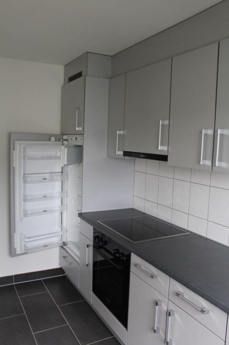 Appartement de 2 pièces à louer à Valbirse (4)