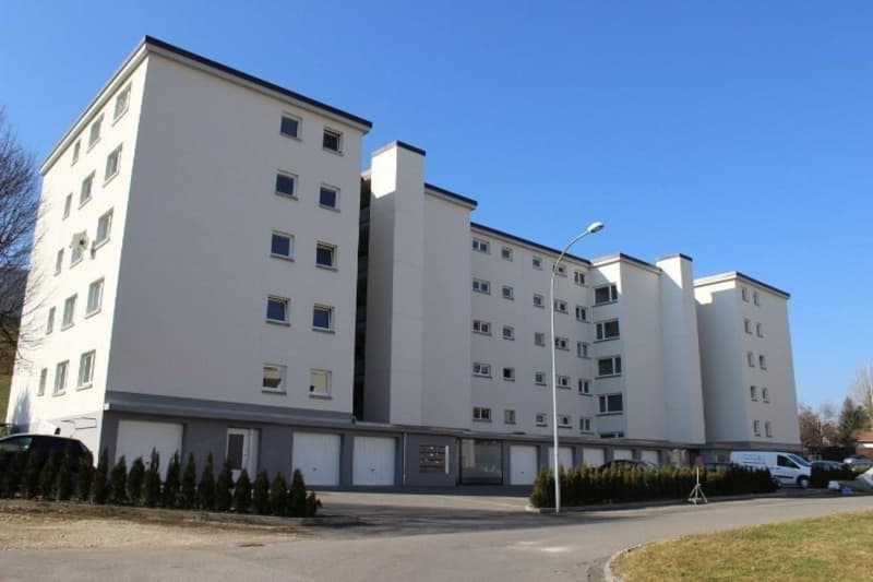 Appartement de 2 pièces à louer à Valbirse (1)