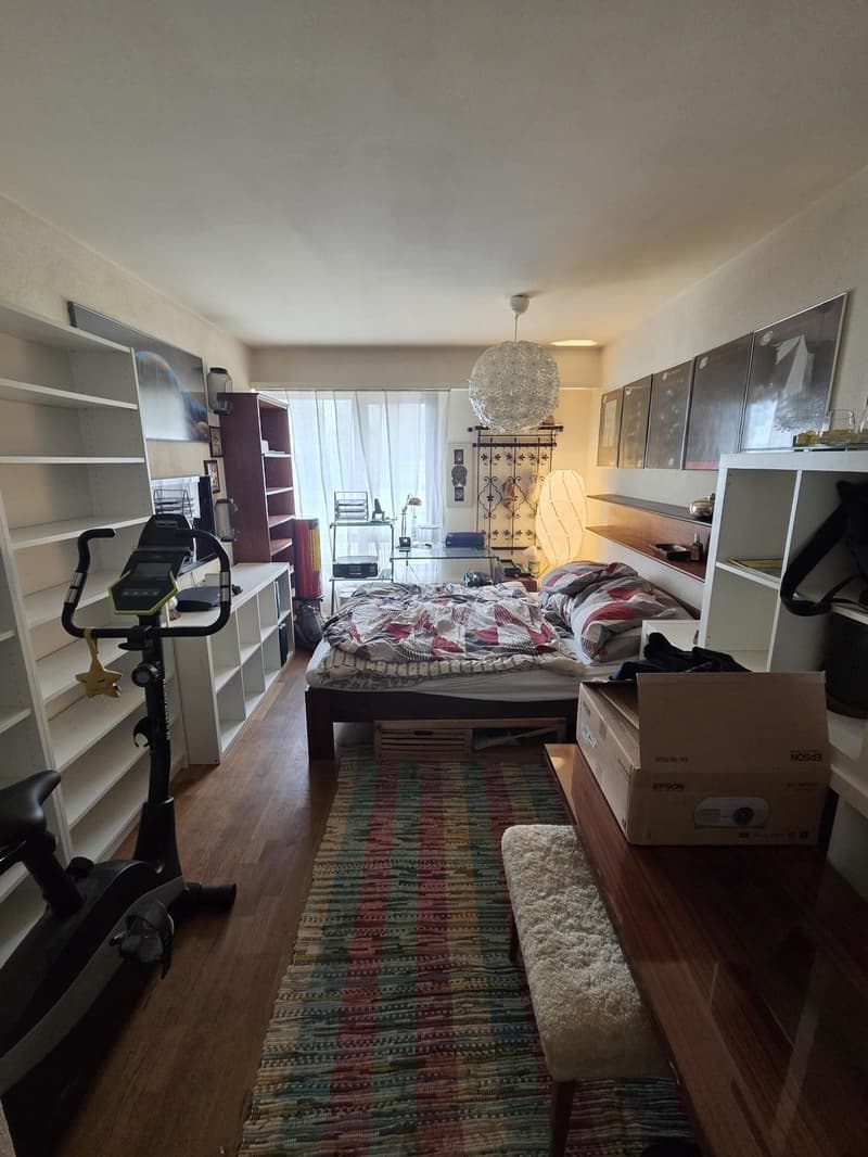 Charmante 3-Zimmer-Eigentumswohnung im Erdgeschoss in Basel (10)