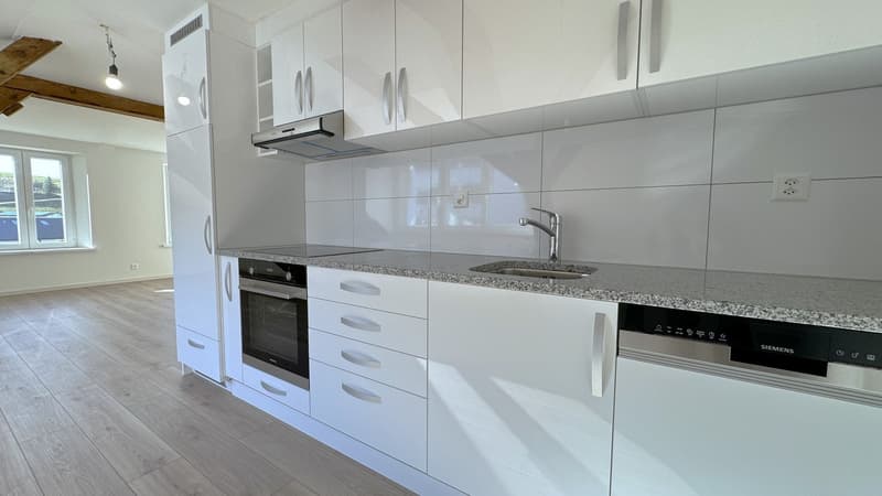 Charmant appartement en attique de 3 pièces (1)