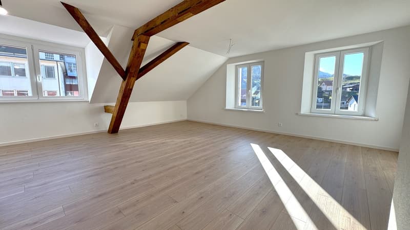 Charmant appartement en attique de 3 pièces (2)