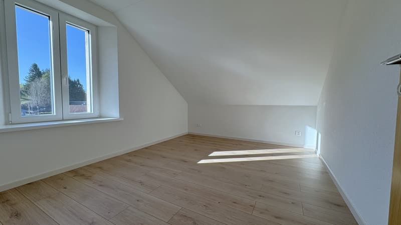 Charmant appartement en attique de 3 pièces (11)