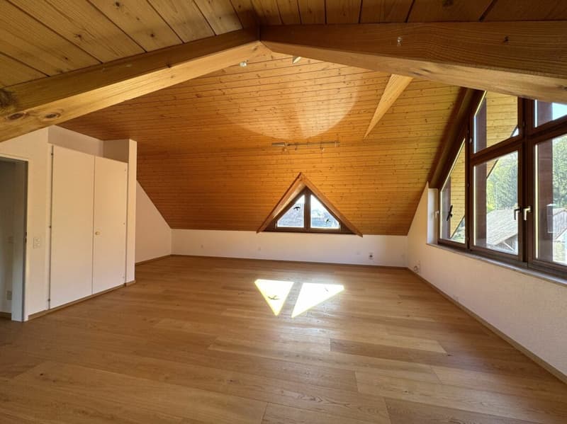 Grosszügiges und freistehendes 9 1/2-Zimmer Einfamilienhaus- naturnahes Wohnen mit Nähe zur Stadt (7)