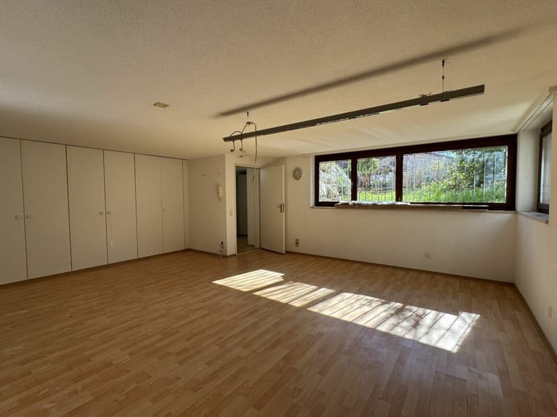 Grosszügiges und freistehendes 9 1/2-Zimmer Einfamilienhaus- naturnahes Wohnen mit Nähe zur Stadt (11)