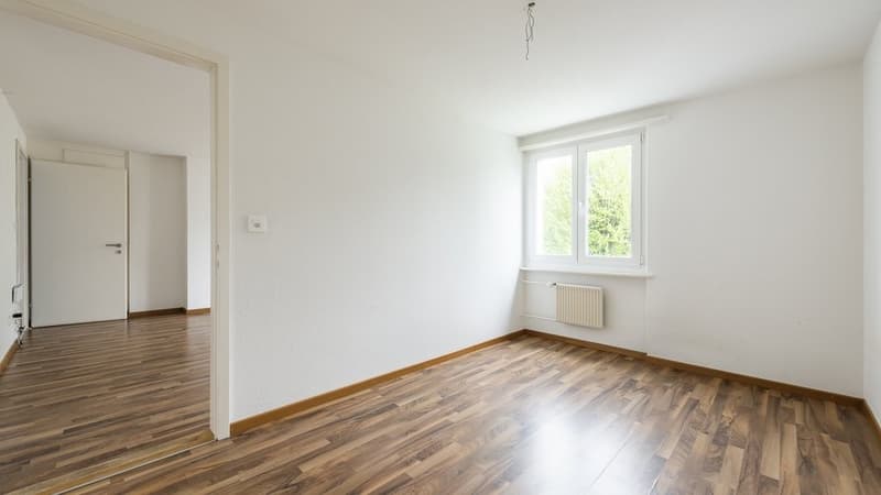 1 Zimmer Wohnung mit Balkon - direkt beim Säntispark (2)