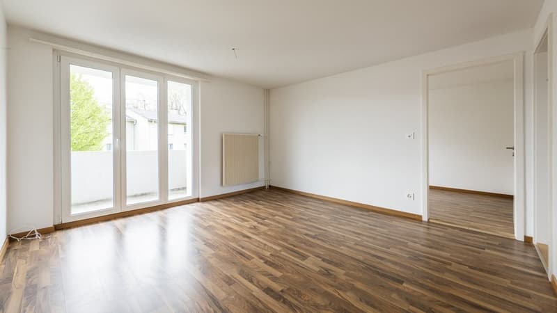 1 Zimmer Wohnung mit Balkon - direkt beim Säntispark (1)