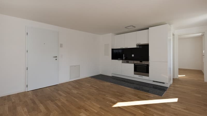 Attraktive 1 Zi-Wohnung in Stadtnähe - Neu renoviert und Modern (1)